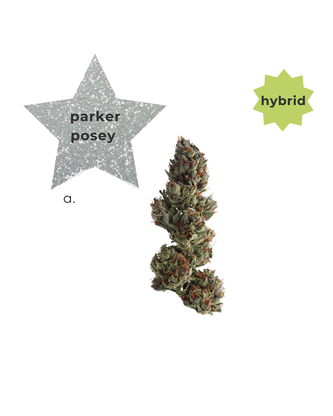Hybrid ~ Parker Posey *DIAMOND INFUSED