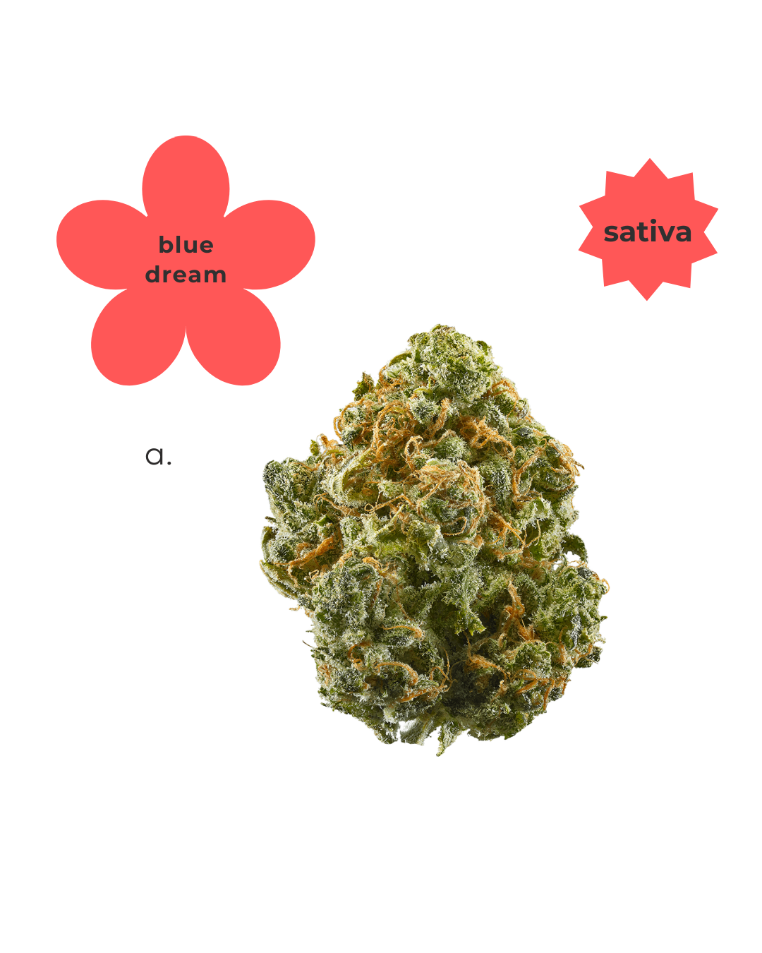 Sativa ~ Blue Dream