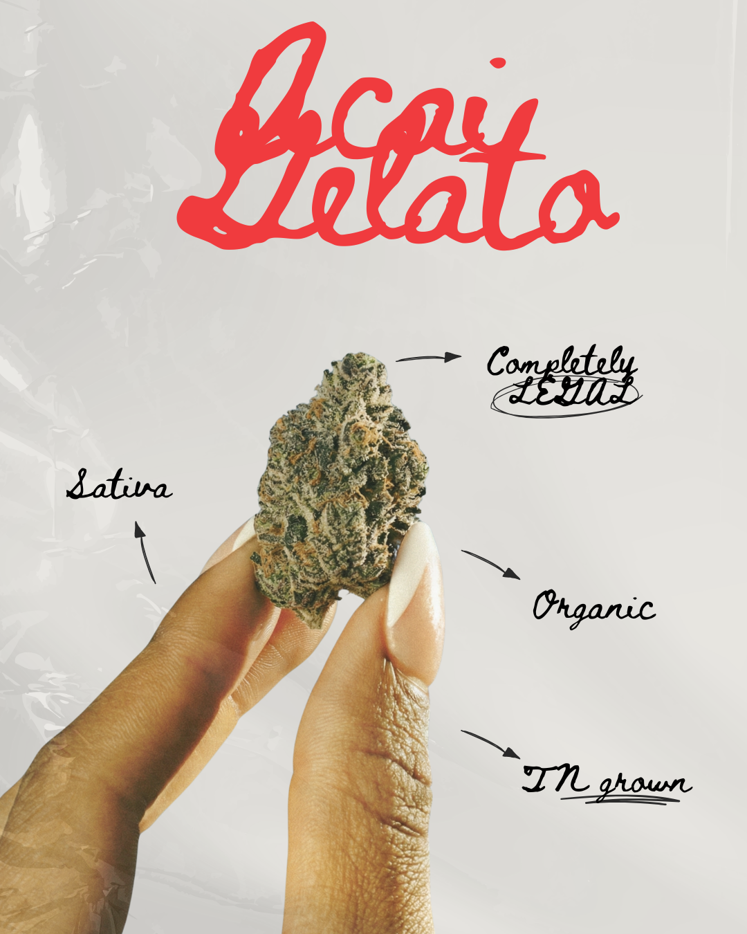 Acai Gelato THC-A Flower