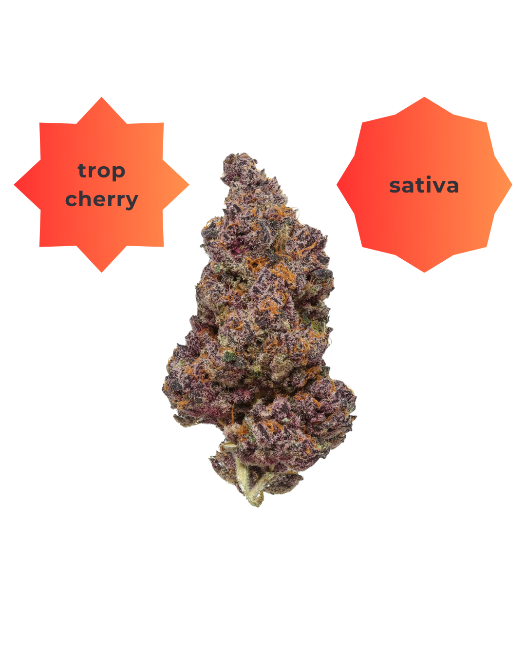 Trop Cherry THC-A Flower