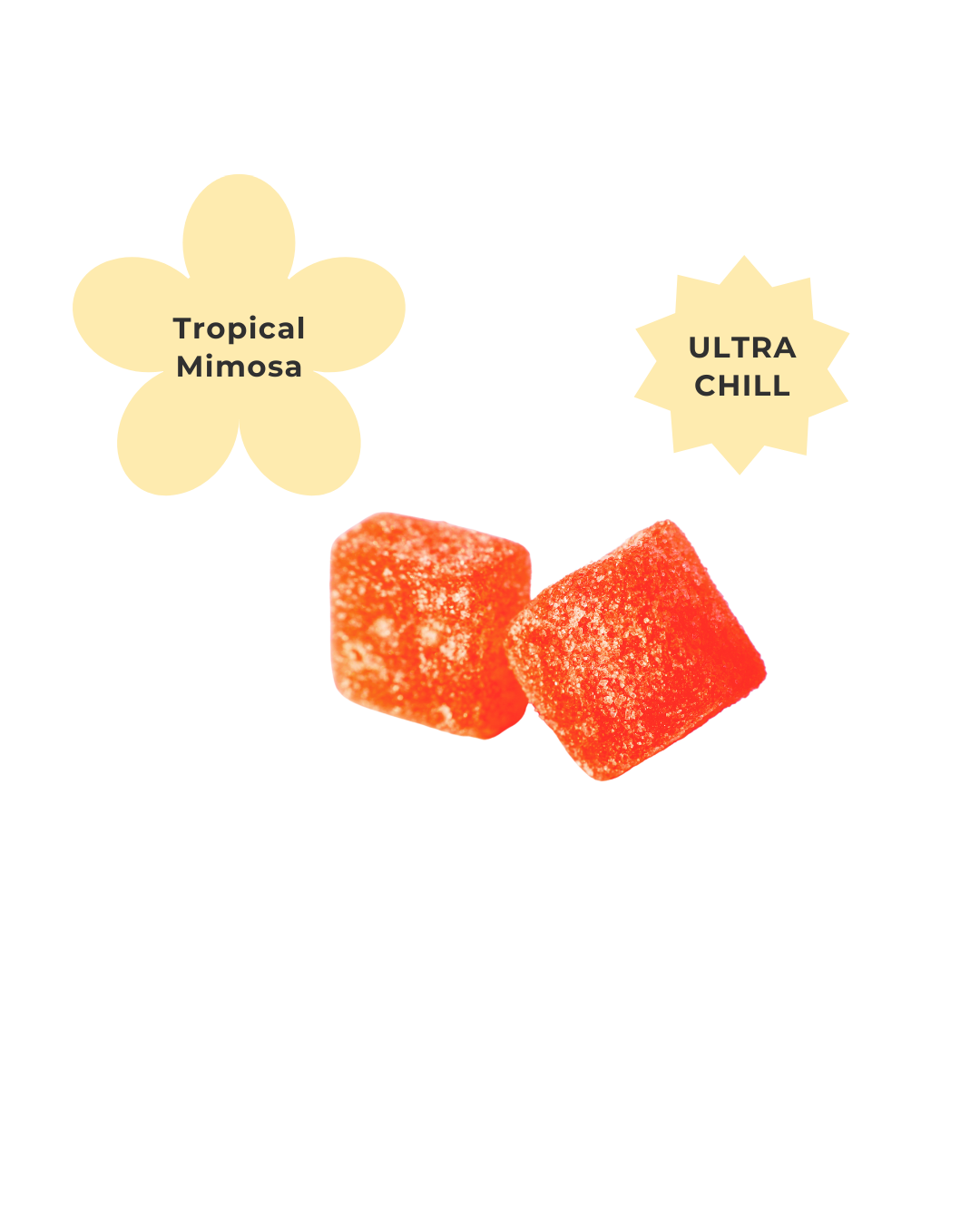Zen Gummies