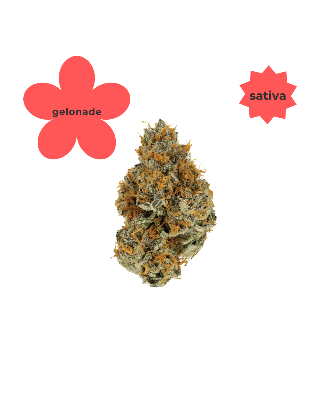 Gelonade THC-A Flower