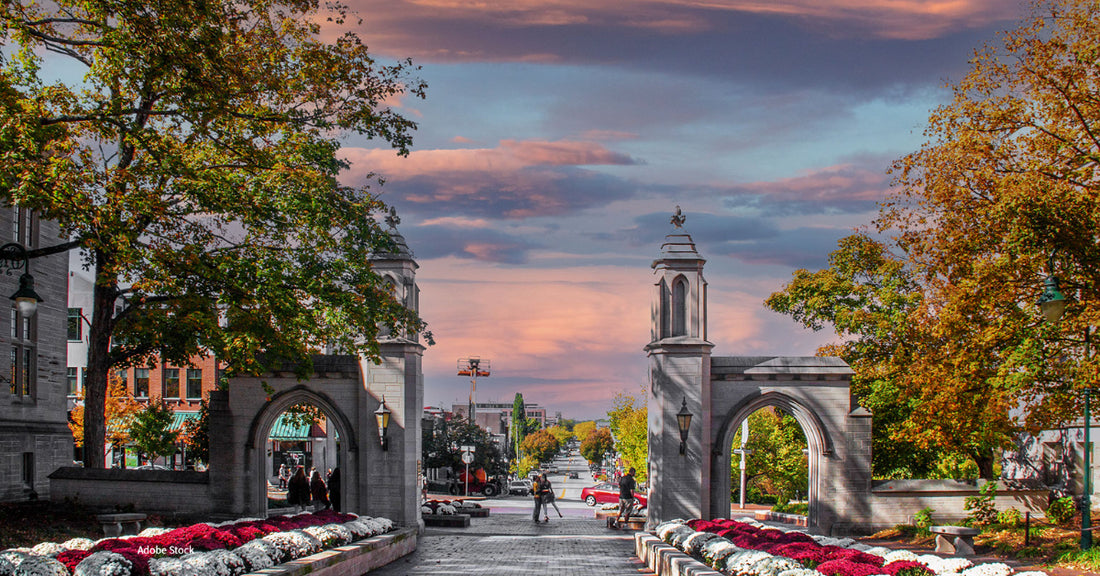 The Truth About Purchasing Delta 9 Edibles in Indiana