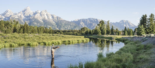 Delta 9 in Wyoming