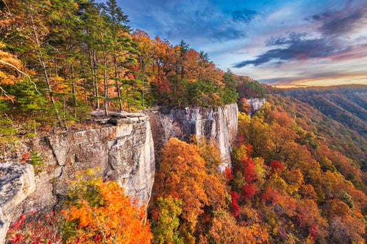 Delta 9 in West Virginia