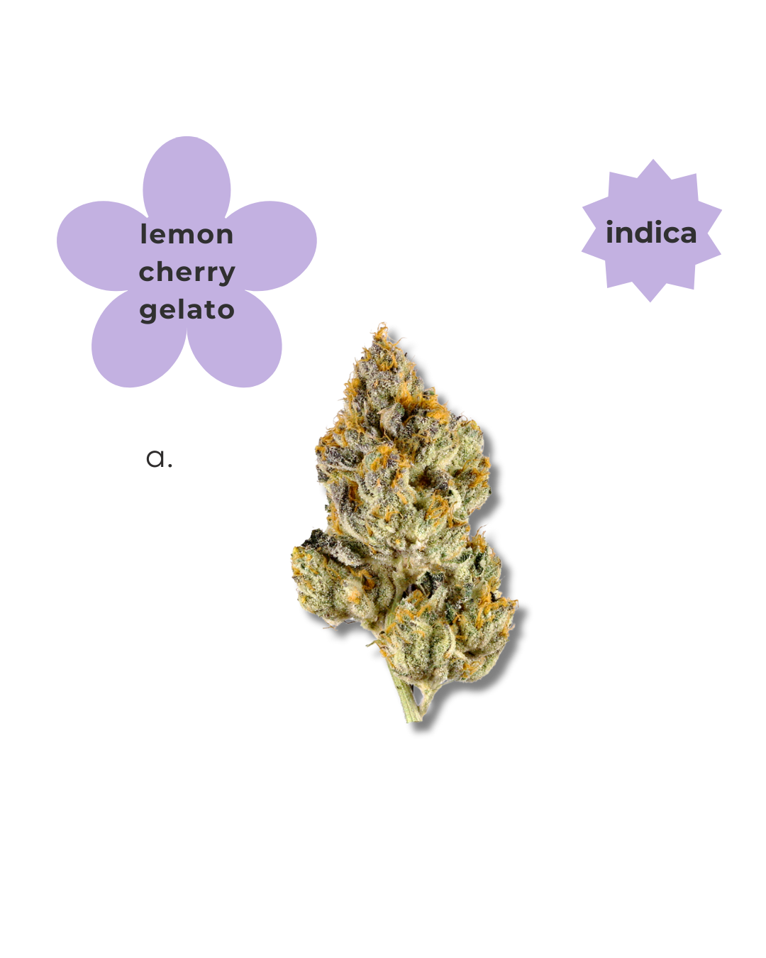 Indica ~ Lemon Cherry Gelato