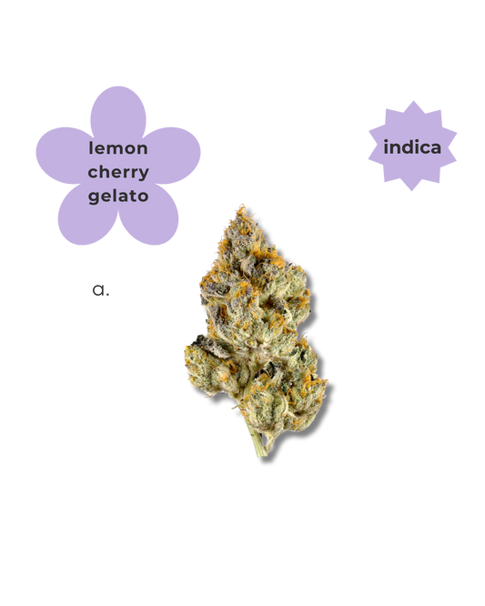 Indica ~ Lemon Cherry Gelato