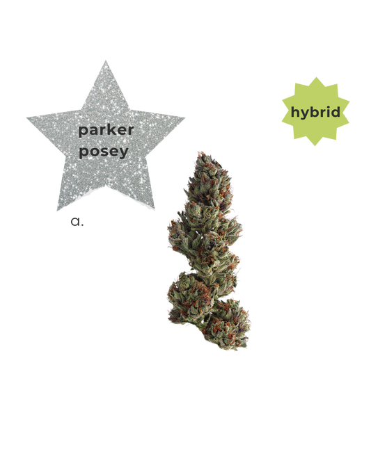 Hybrid ~ Parker Posey *DIAMOND INFUSED