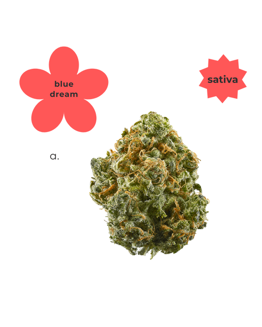 Sativa ~ Blue Dream
