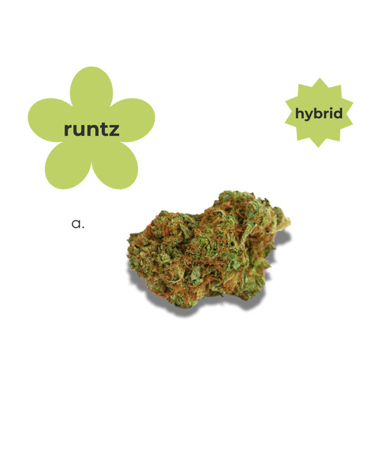 Hybrid ~ Runtz