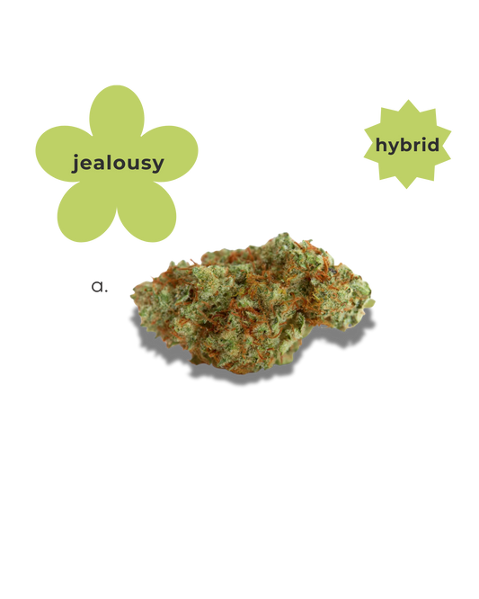 Hybrid ~ Jealousy