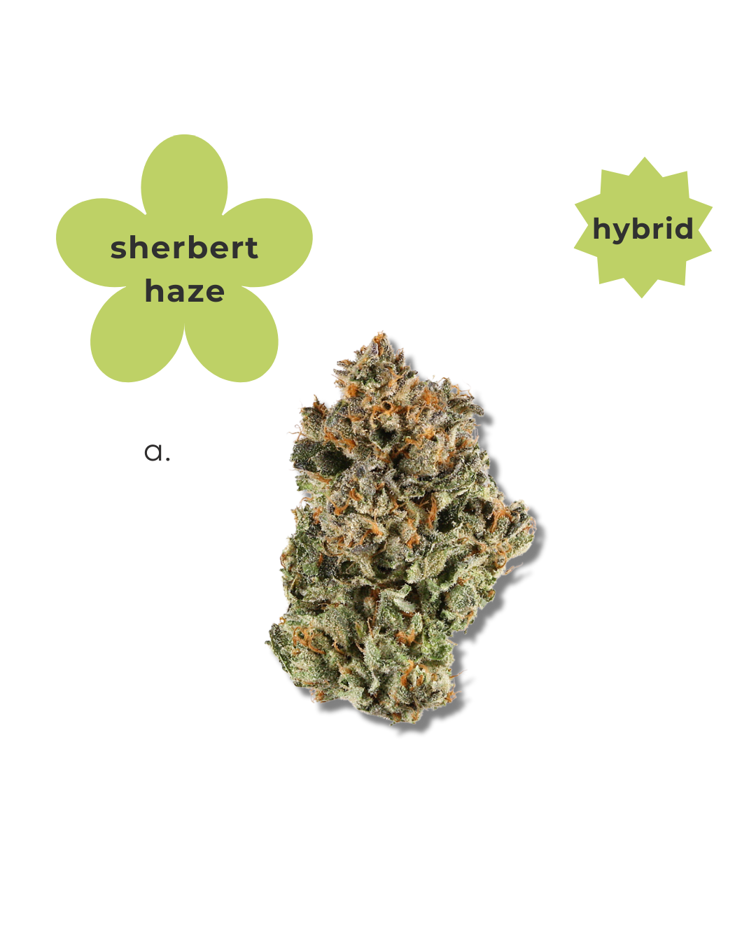 Hybrid ~ Sherbert Haze