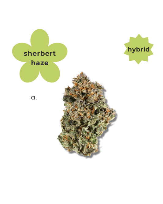 Hybrid ~ Sherbert Haze