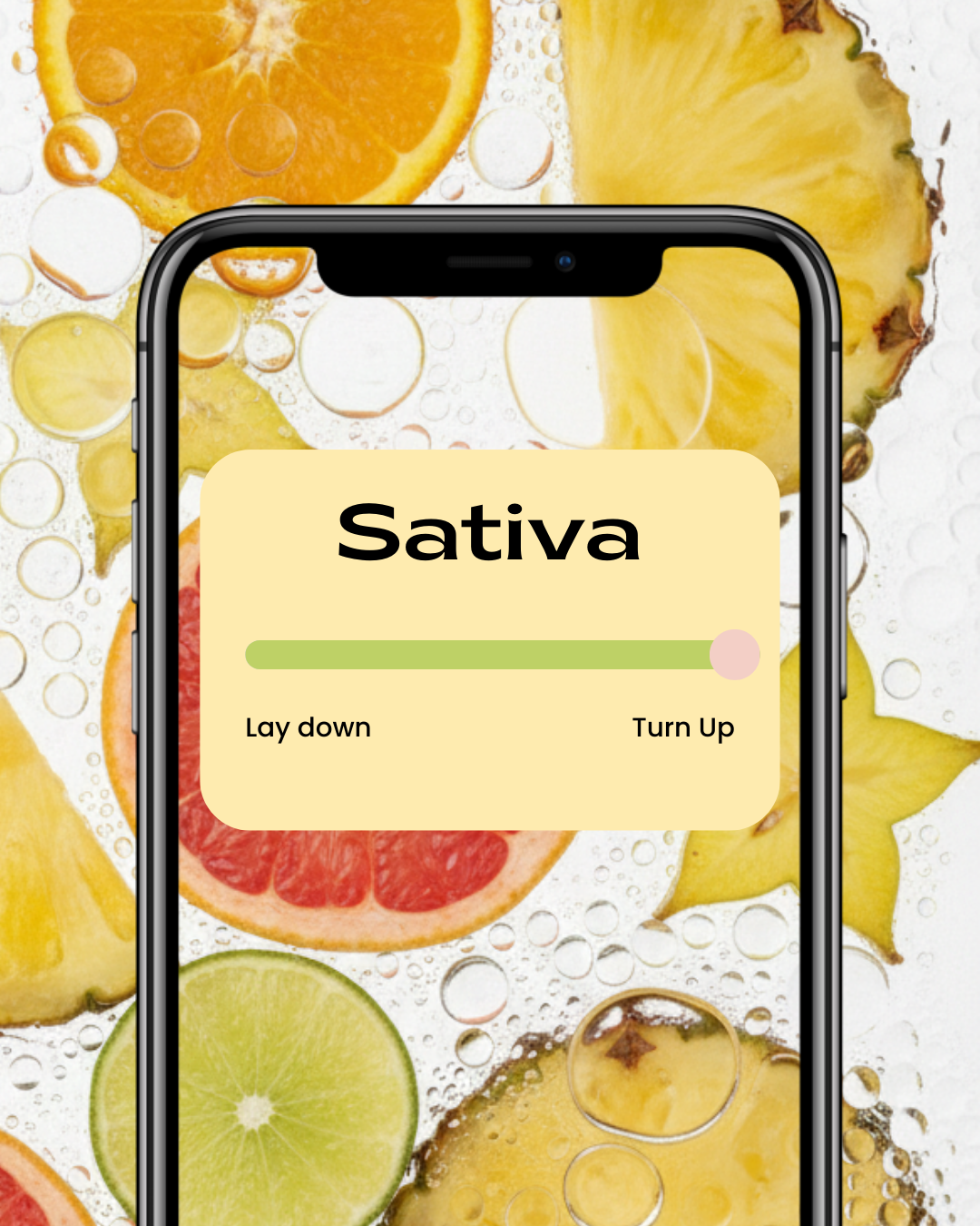 Sour Jack THC-A Flower