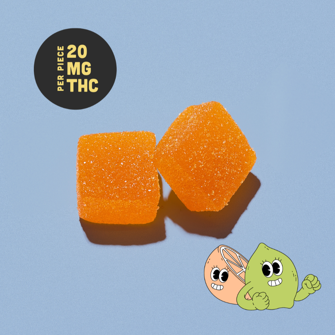 Go Easy Edibles 20MG Melt Gummies Feature