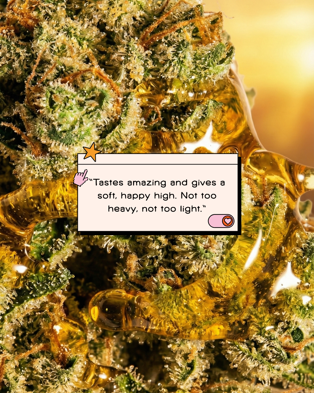 Mendo Cherry Runtz THC-A Flower