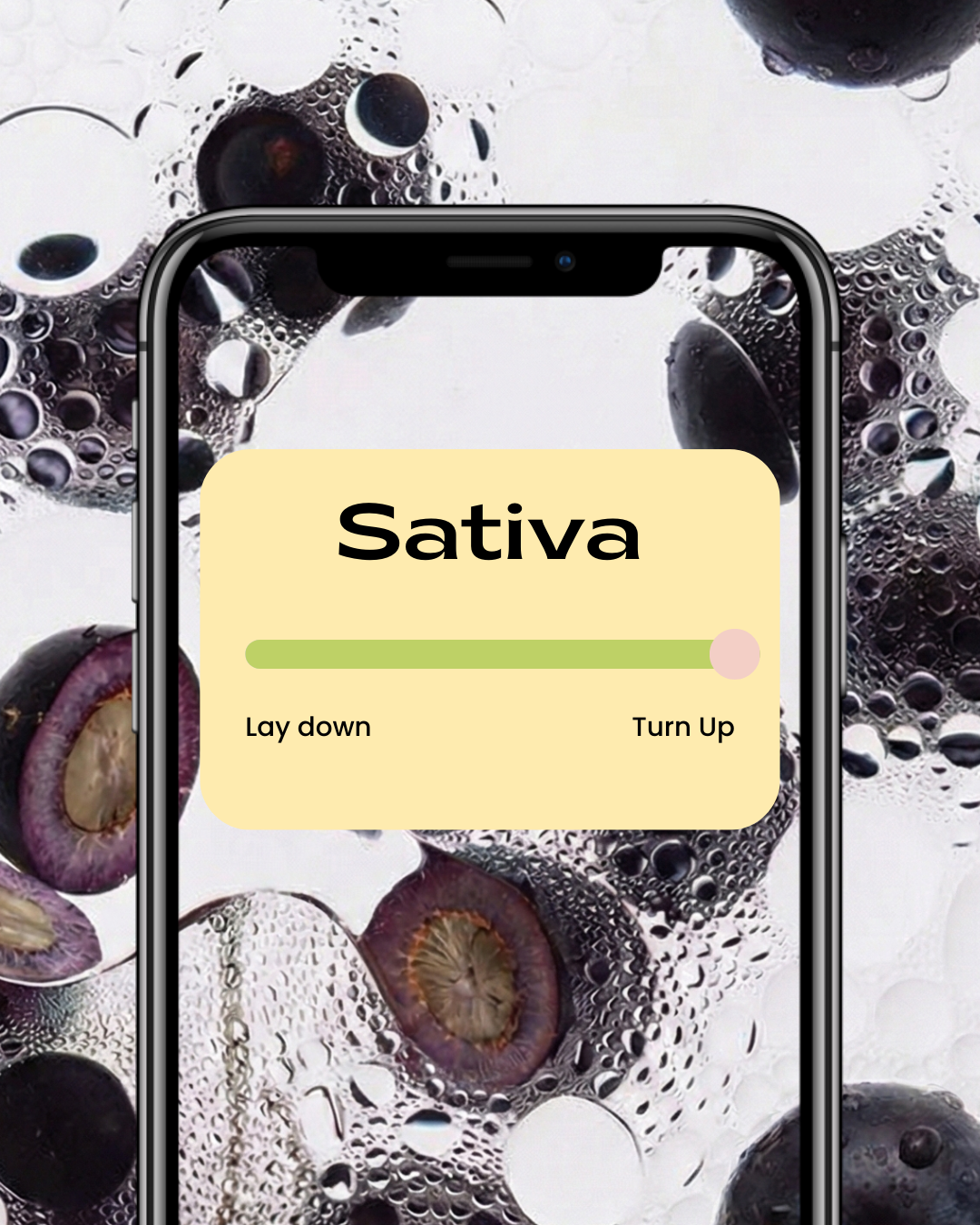 Acai Gelato THC-A Flower