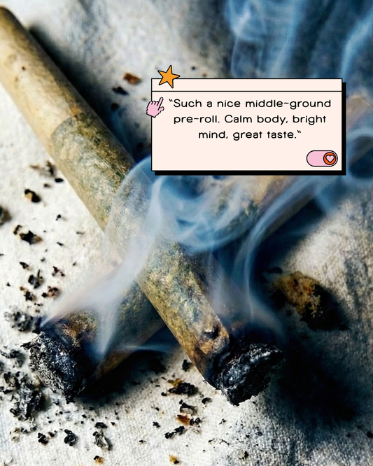 Mendo Cherry Runtz THC-A Pre-Roll