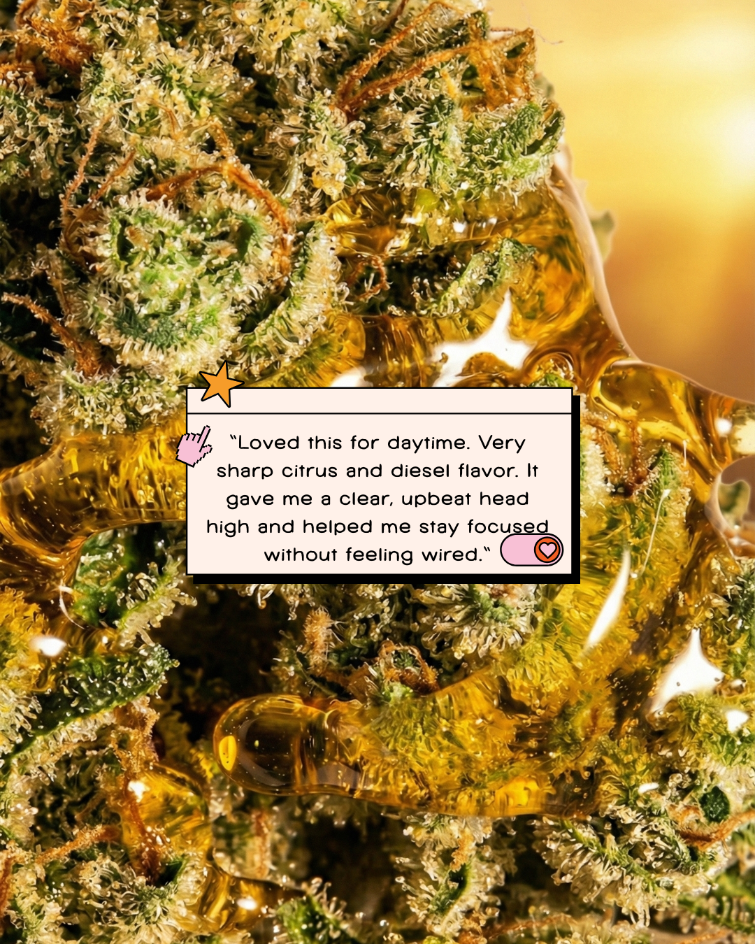 Sour Jack THC-A Flower