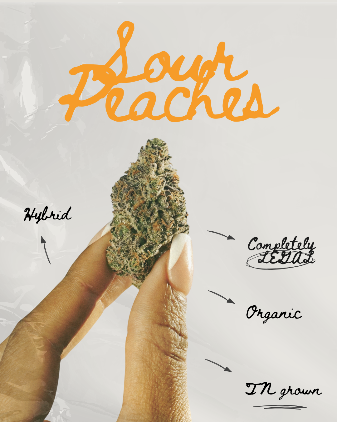 Sour Peaches THC-A Flower