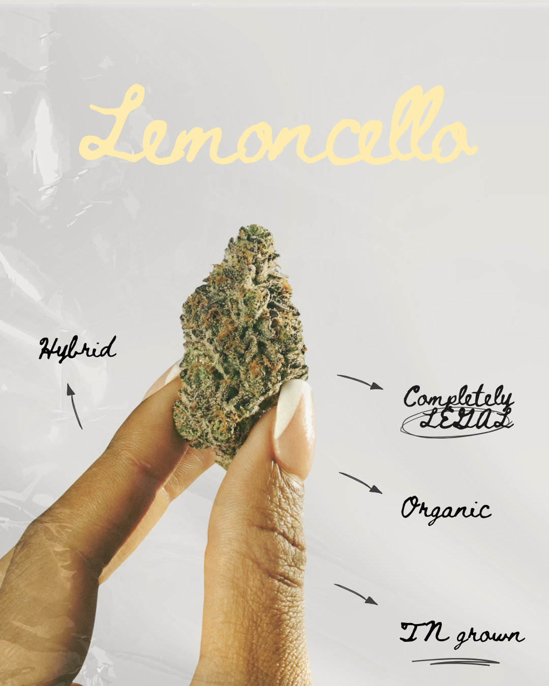 Lemoncello THC-A Pre-roll