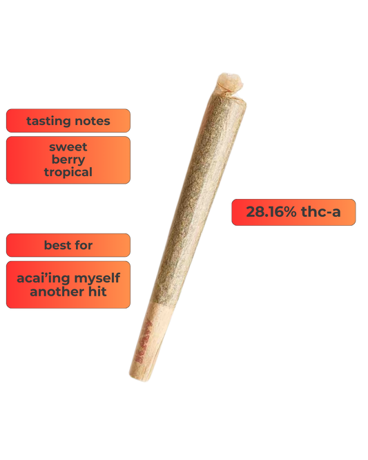 Sativa ~ Acai Gelato