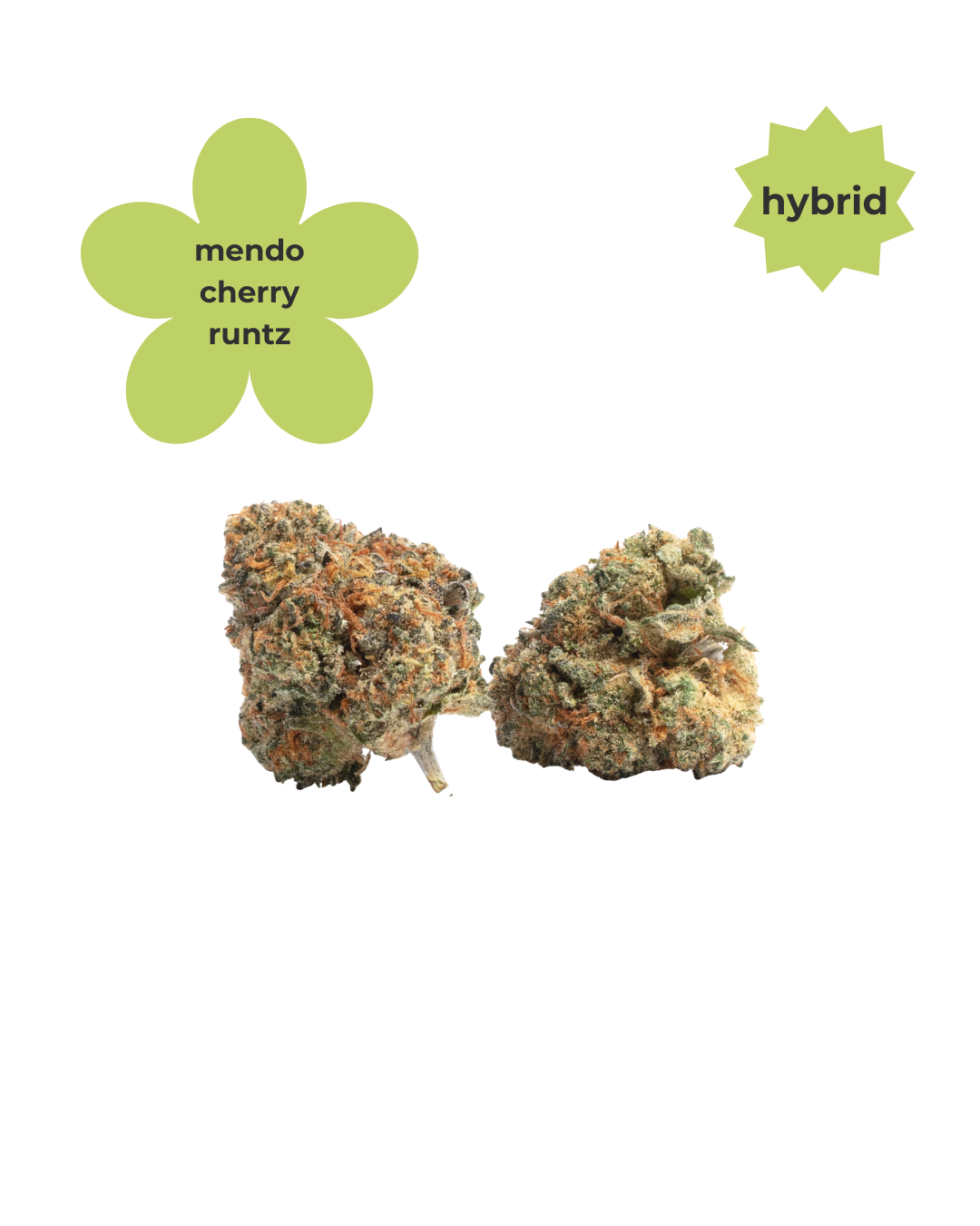 Hybrid ~ Mendo Cherry Runtz