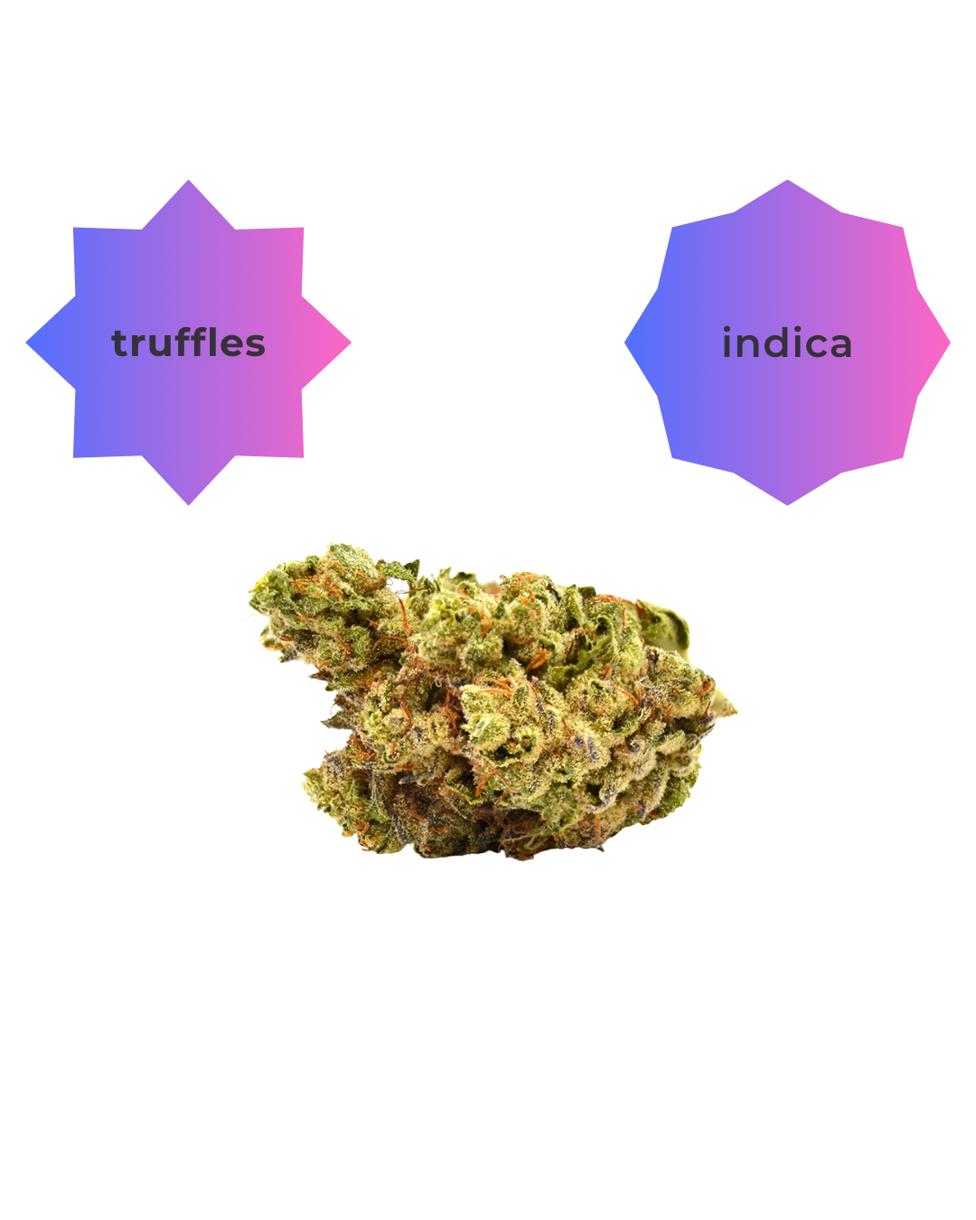 Indica ~ Truffles
