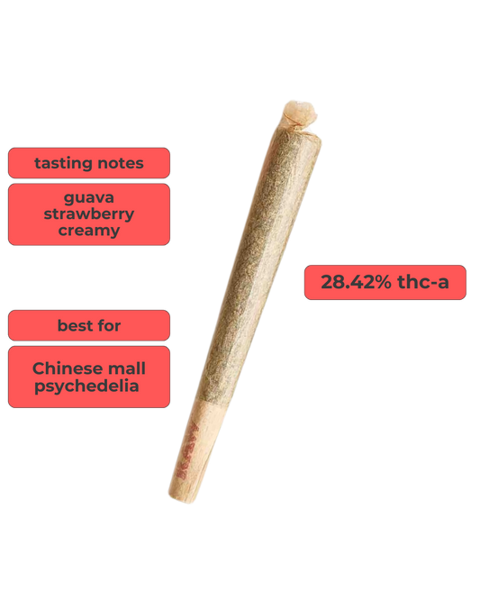 Sativa ~ Guava