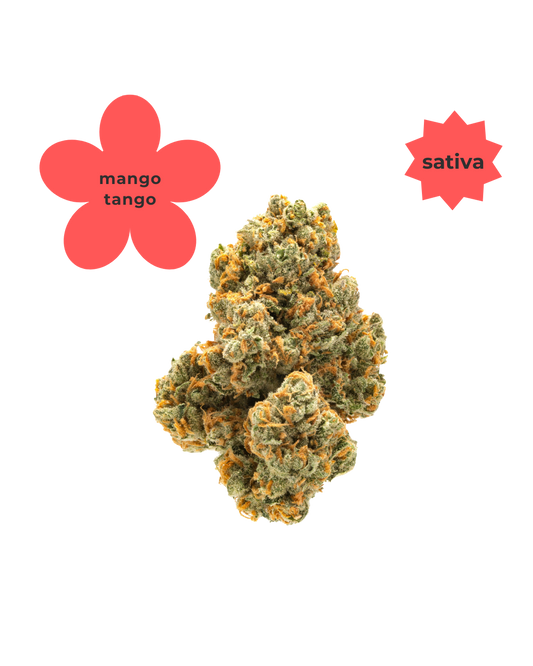 Sativa ~ Mango Tango