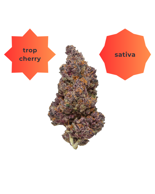 Trop Cookies THC-A Flower