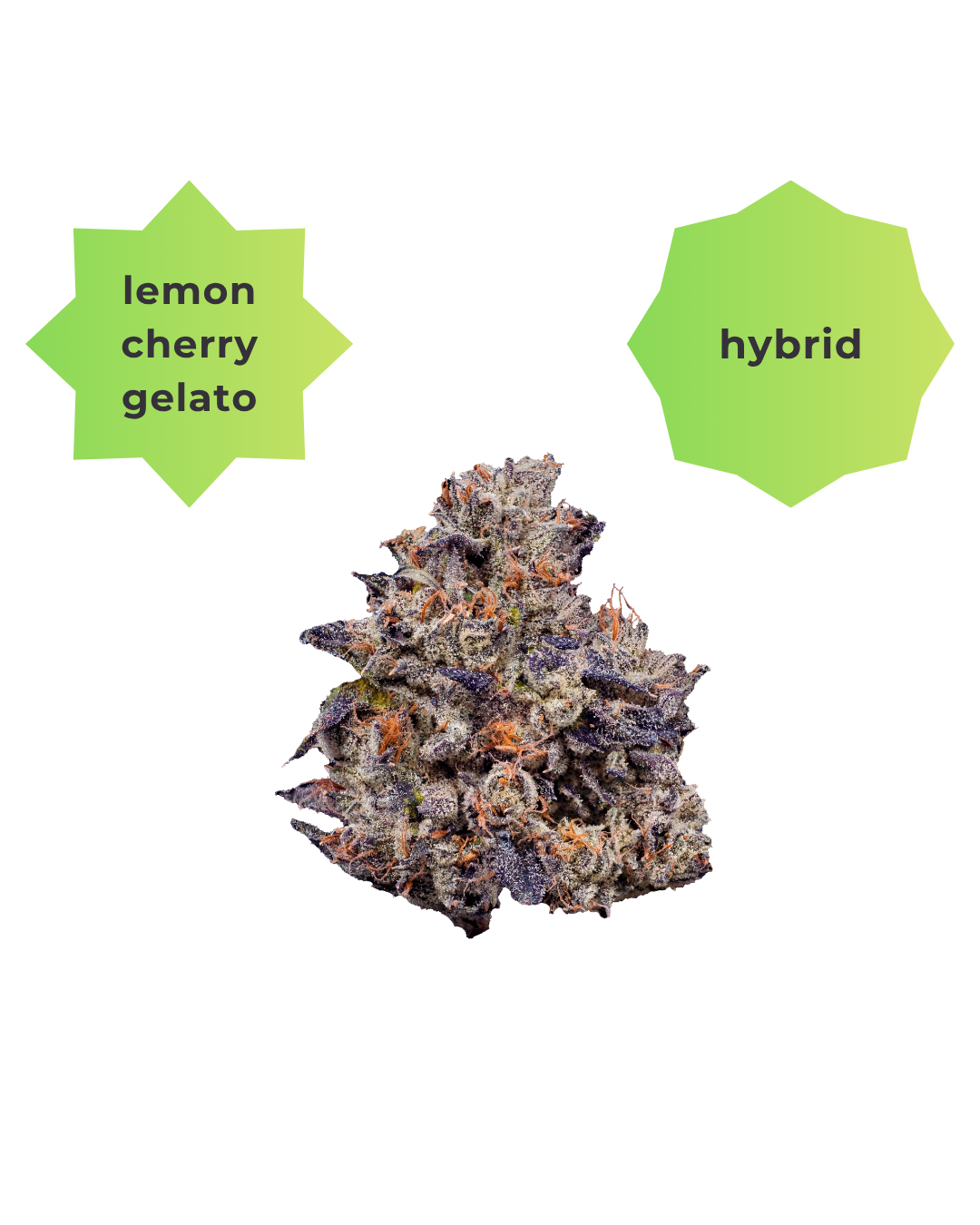 Lemon Cherry Gelato THC-A Flower