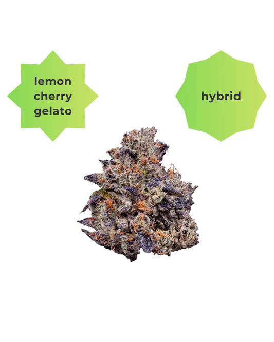 Lemon Cherry Gelato THC-A Flower