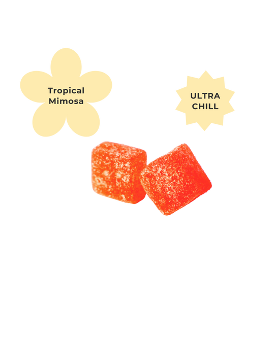 Zen Gummies