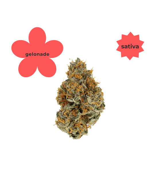 Gelonade THC-A Flower