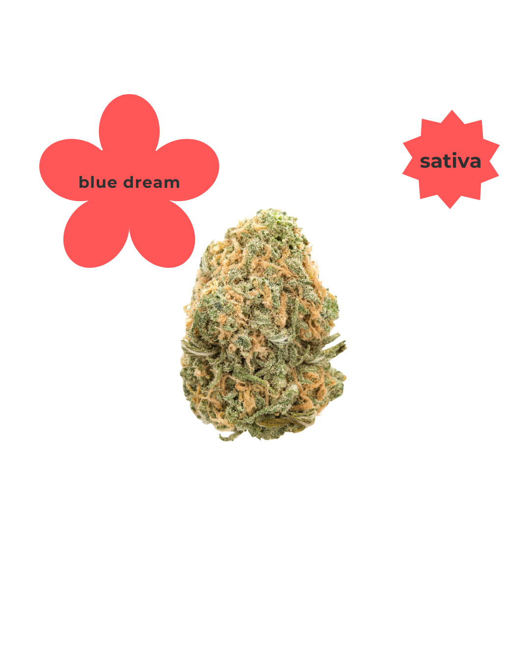 Blue Dream THC-A Flower