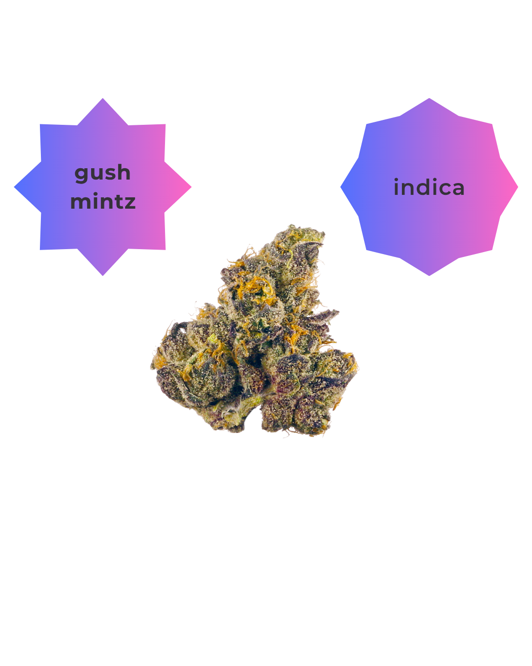 Gush Mintz THC-A Flower